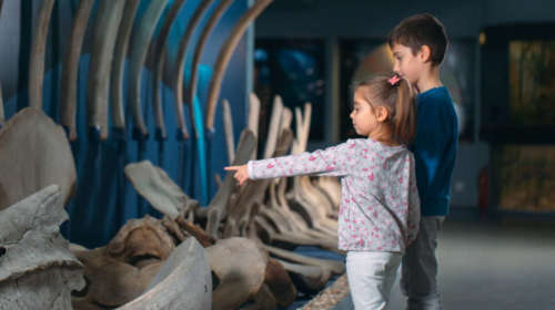 Tres motivos para visitar museos con tus hijos pequeños estas vacaciones.