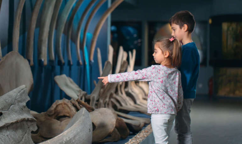 Tres motivos para visitar museos con tus hijos pequeños estas vacaciones.